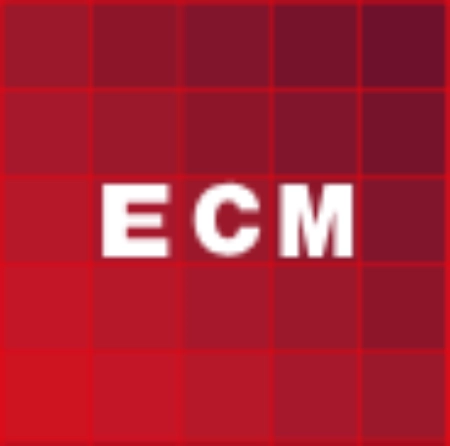 logo_ECM_System_Solutions_s.r.o.